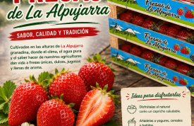 Fresas de La Alpujarra